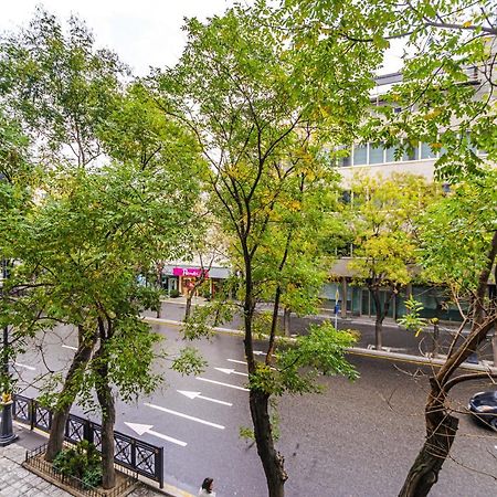 Apartamento Vip Apartamen Nizami Street Bakú Exterior foto